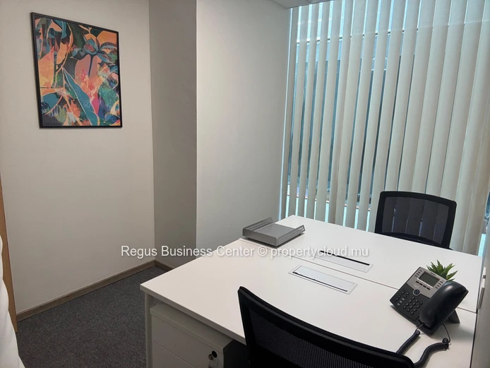Find office space in Regus  Portlouis Downtown for  4 persons with everything taken care of