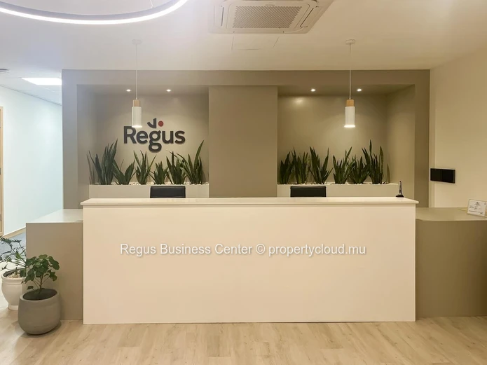 Coworking space in Regus Nexsky Building