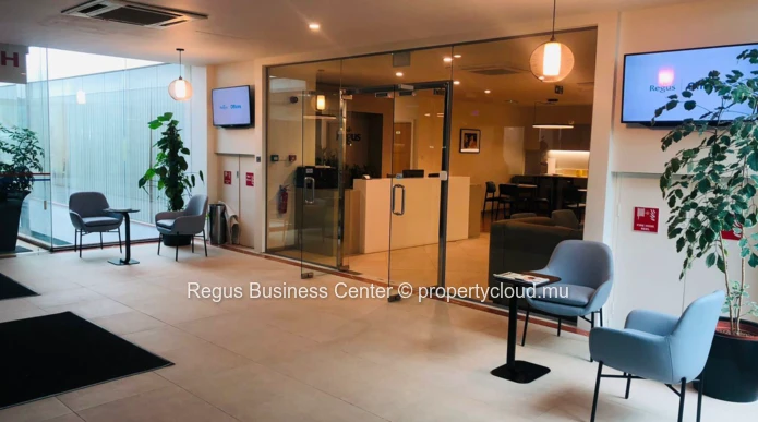 Flexible coworking memberships in Regus  Portlouis Downtown