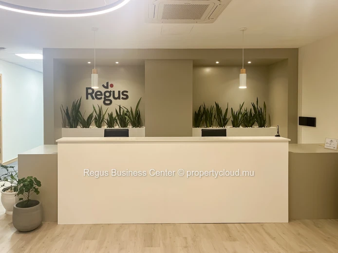 Professional office space in Regus Nexsky Building on fully flexible terms