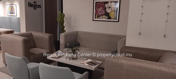 Flexible coworking memberships in Regus  Portlouis Downtown