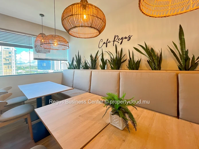 Professional office space in Regus Nexsky Building on fully flexible terms