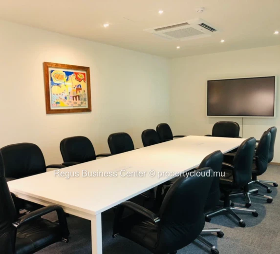 Flexible coworking memberships in Regus  Portlouis Downtown