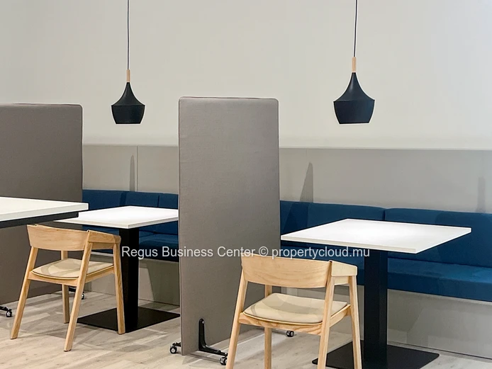 Professional office space in Regus Nexsky Building on fully flexible terms