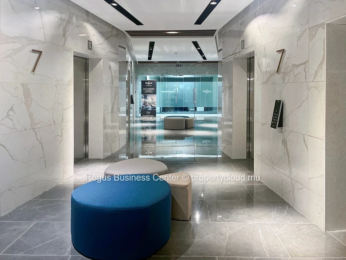 Professional office space in Regus Nexsky Building on fully flexible terms