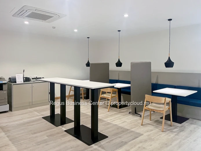 Professional office space in Regus Nexsky Building on fully flexible terms
