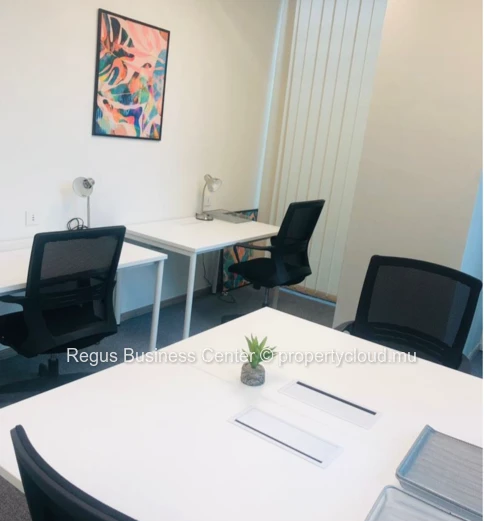 Find office space in Regus  Portlouis Downtown for  4 persons with everything taken care of