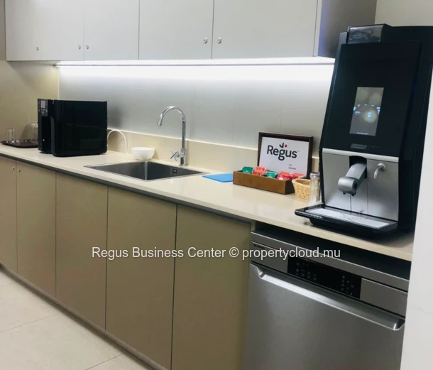 Coworking space in Regus Port Louis Downtown